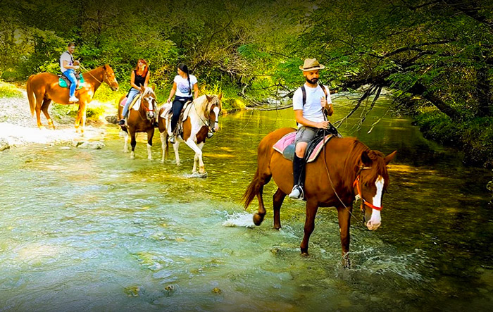 A cavallo nei parchi